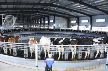 海高牧業(yè)廠(chǎng)區(qū)