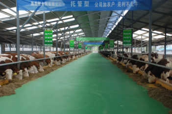 海高牧業(yè)廠(chǎng)區(qū)